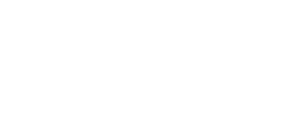 카이스트